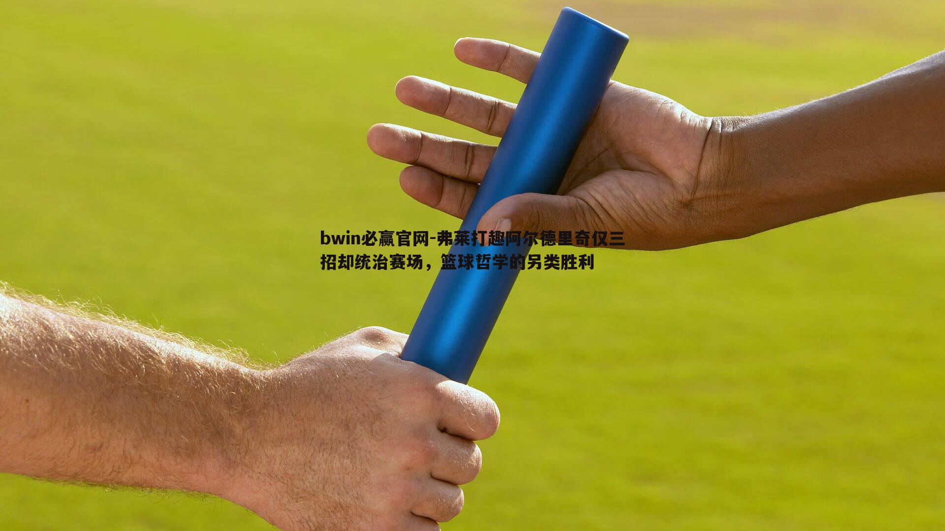 弗莱打趣阿尔德里奇仅三招却统治赛场，篮球哲学的另类胜利